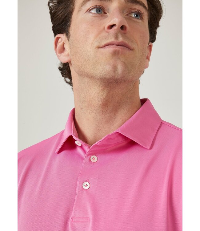 Alan Paine Polo, Performance, Sports Fit, Rockbourne, Roze