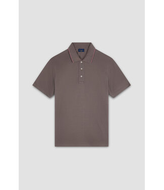 Paul & Shark Paul & Shark, Polo, Korte Mouw, X-Soft Piqué Katoen, Taupe