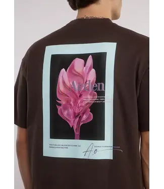 Aeden Aeden, T-Shirt, Katoen, Oversized, Korte Mouw, Rugprint, Donkerbruin