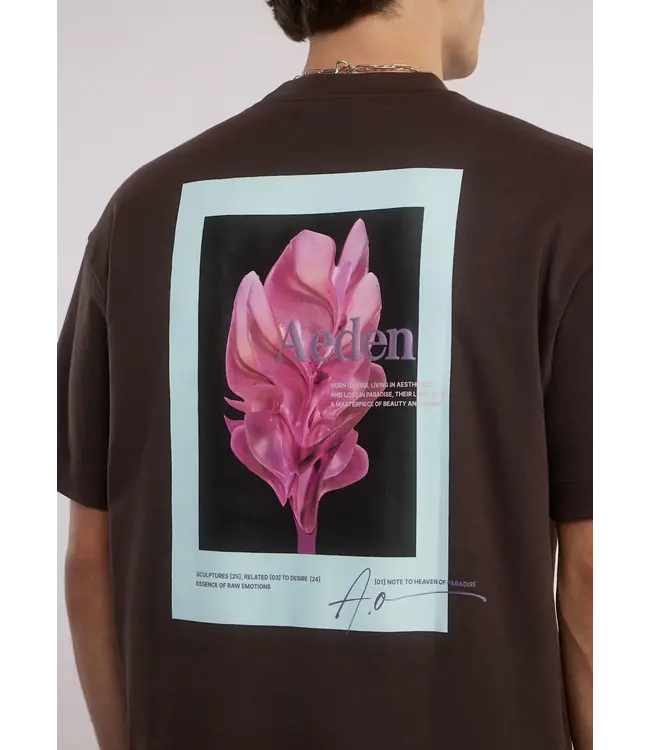 Aeden T-Shirt, Katoen, Oversized, Korte Mouw, Rugprint, Donkerbruin