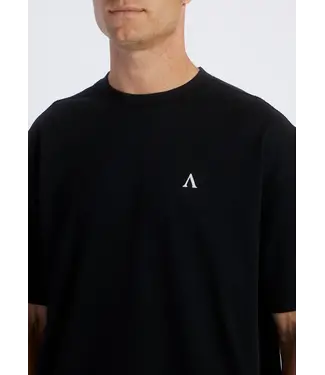 Aeden Aeden, T-Shirt, Katoen, Oversized, Korte Mouw, Rugprint, Zwart