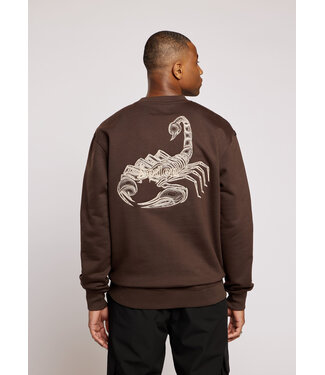 Aeden Aeden, Sweater, Katoen, Oversized, Lange Mouw, Scorpion Rugprint, Donkerbruin