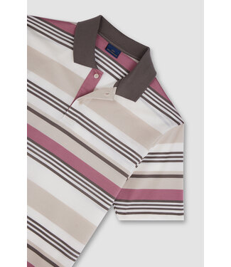 Paul & Shark Paul & Shark, Polo, Korte Mouw, Beige, Taupe, Oud Roze Gestreept