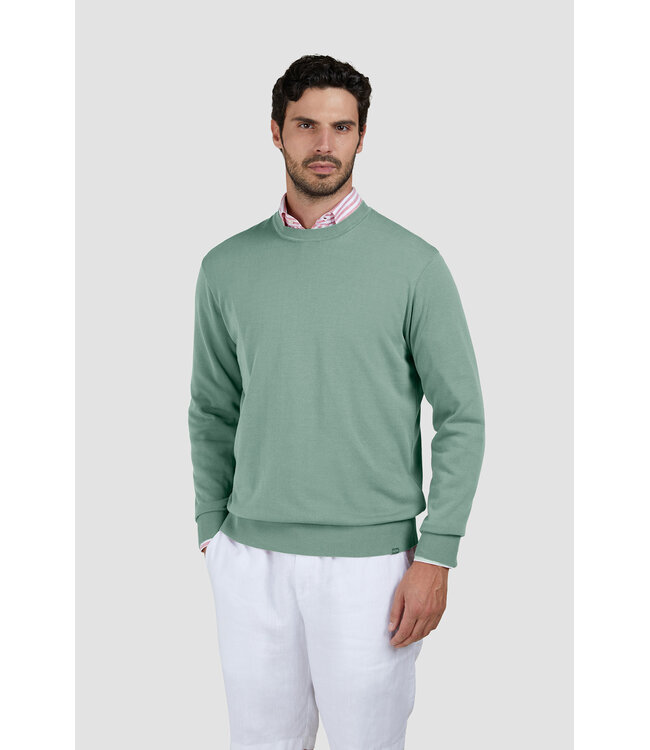 Paul & Shark Trui, Ronde Hals, Katoen, Mintgroen