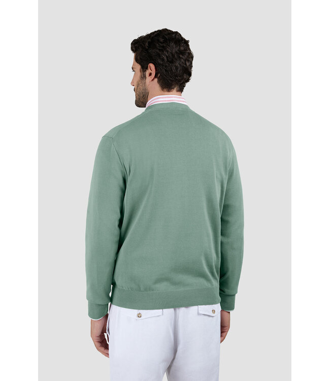 Paul & Shark Trui, Ronde Hals, Katoen, Mintgroen