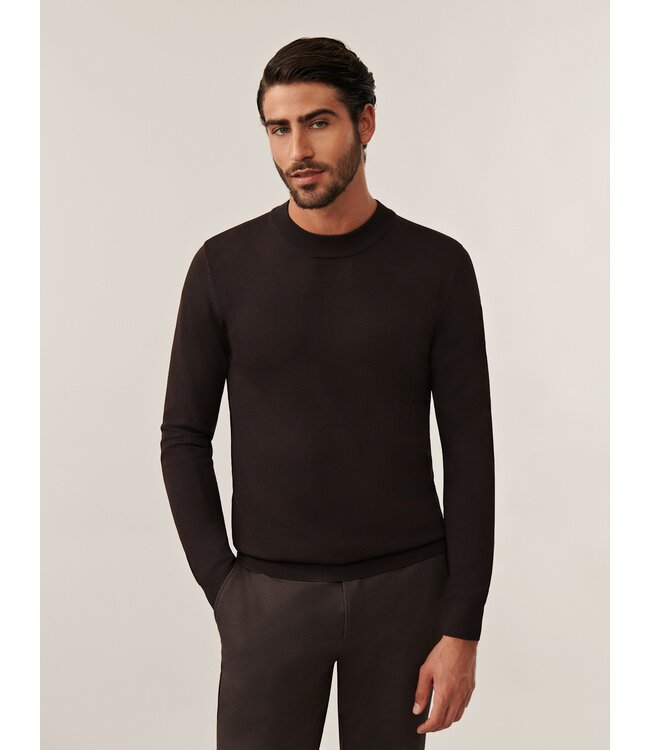 Cavallaro Napoli Trui, Turtle Neck, Viscose Mix, Donkerbruin