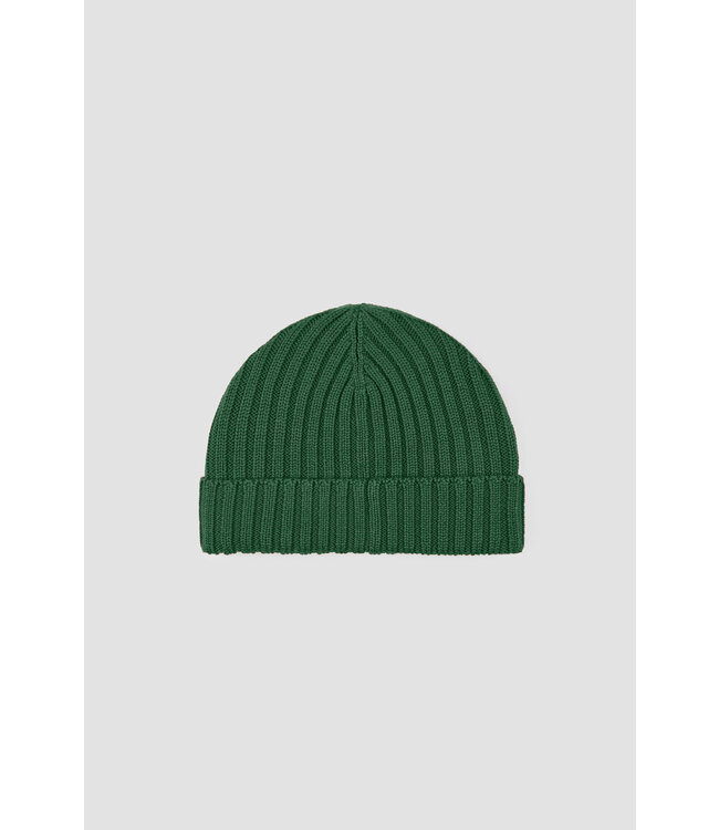 Paul & Shark Muts / Beanie, Wol, Gebreid, Moon Logo, Groen / Garden Topiary