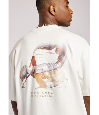 Aeden Aeden, T-Shirt, Katoen, Oversized, Korte Mouw, Rugprint, Neo Tee, Off-White