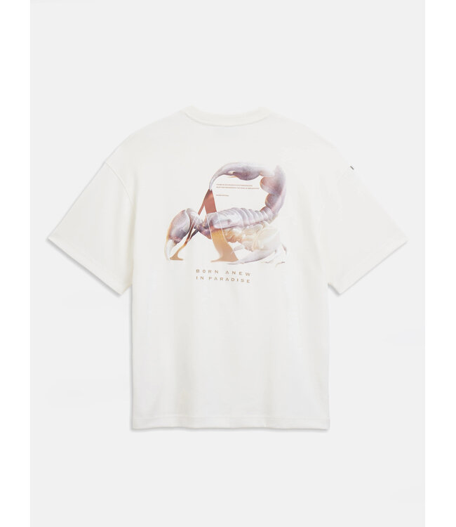 Aeden T-Shirt, Katoen, Oversized, Korte Mouw, Rugprint, Neo Tee, Off-White