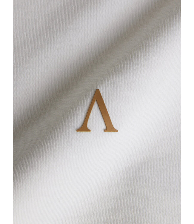 Aeden T-Shirt, Katoen, Oversized, Korte Mouw, Rugprint, Neo Tee, Off-White