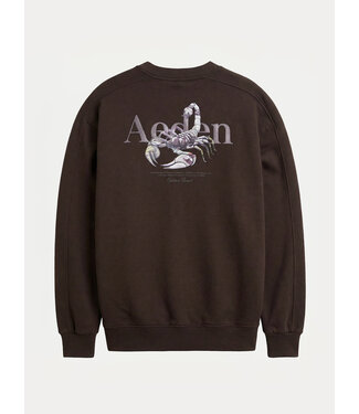 Aeden Aeden, Sweater, Katoen, Oversized, Lange Mouw, Rugprint, Donkerbruin