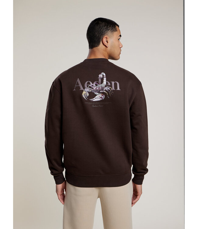 Aeden Sweater, Katoen, Oversized, Lange Mouw, Rugprint, Donkerbruin