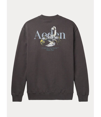 Aeden Aeden, Sweater, Katoen, Oversized, Lange Mouw, Rugprint, Grijs, Dark Shadow