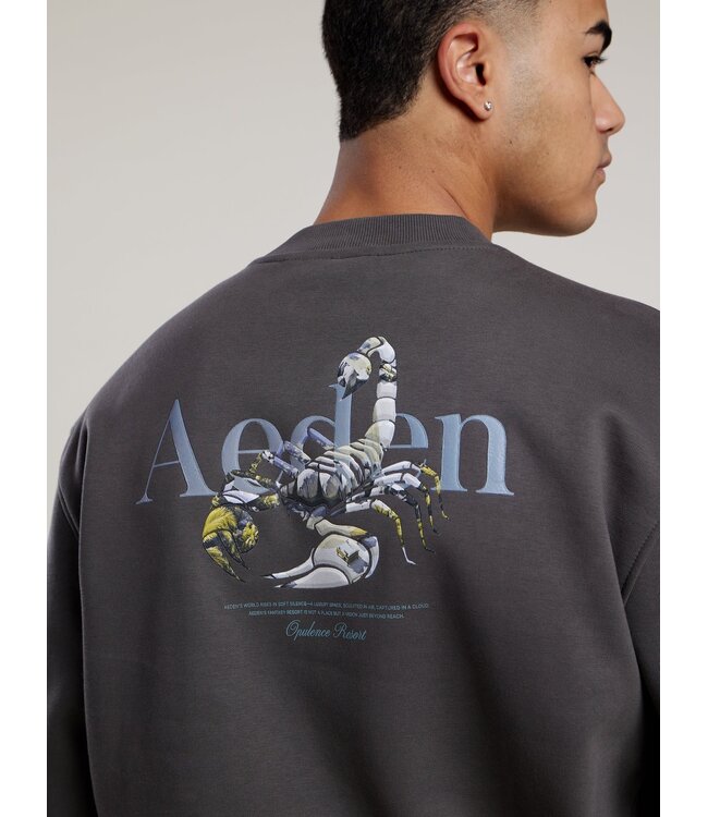 Aeden Sweater, Katoen, Oversized, Lange Mouw, Rugprint, Grijs, Dark Shadow