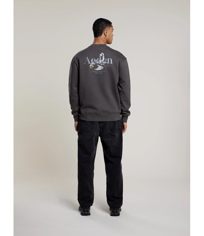 Aeden Sweater, Katoen, Oversized, Lange Mouw, Rugprint, Grijs, Dark Shadow