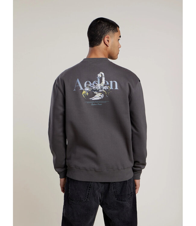 Aeden Sweater, Katoen, Oversized, Lange Mouw, Rugprint, Grijs, Dark Shadow