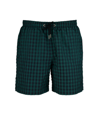 Stenstroms Stenstroms, Zwembroek / Shorts, Donkerblauw/Groen Geruit