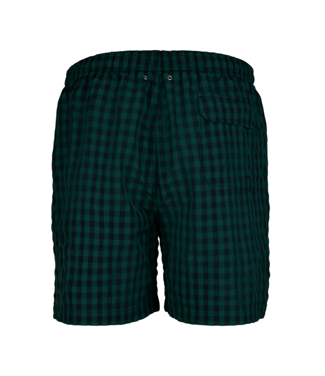 Stenstroms Zwembroek / Shorts, Donkerblauw/Groen Geruit