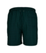 Stenstroms Zwembroek / Shorts, Donkerblauw/Groen Geruit
