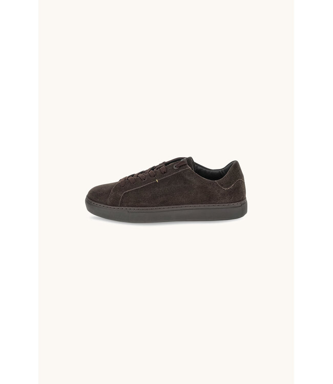 Paul & Shark Suede Sneakers, Donkerbruin