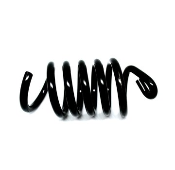 Saddle spring black