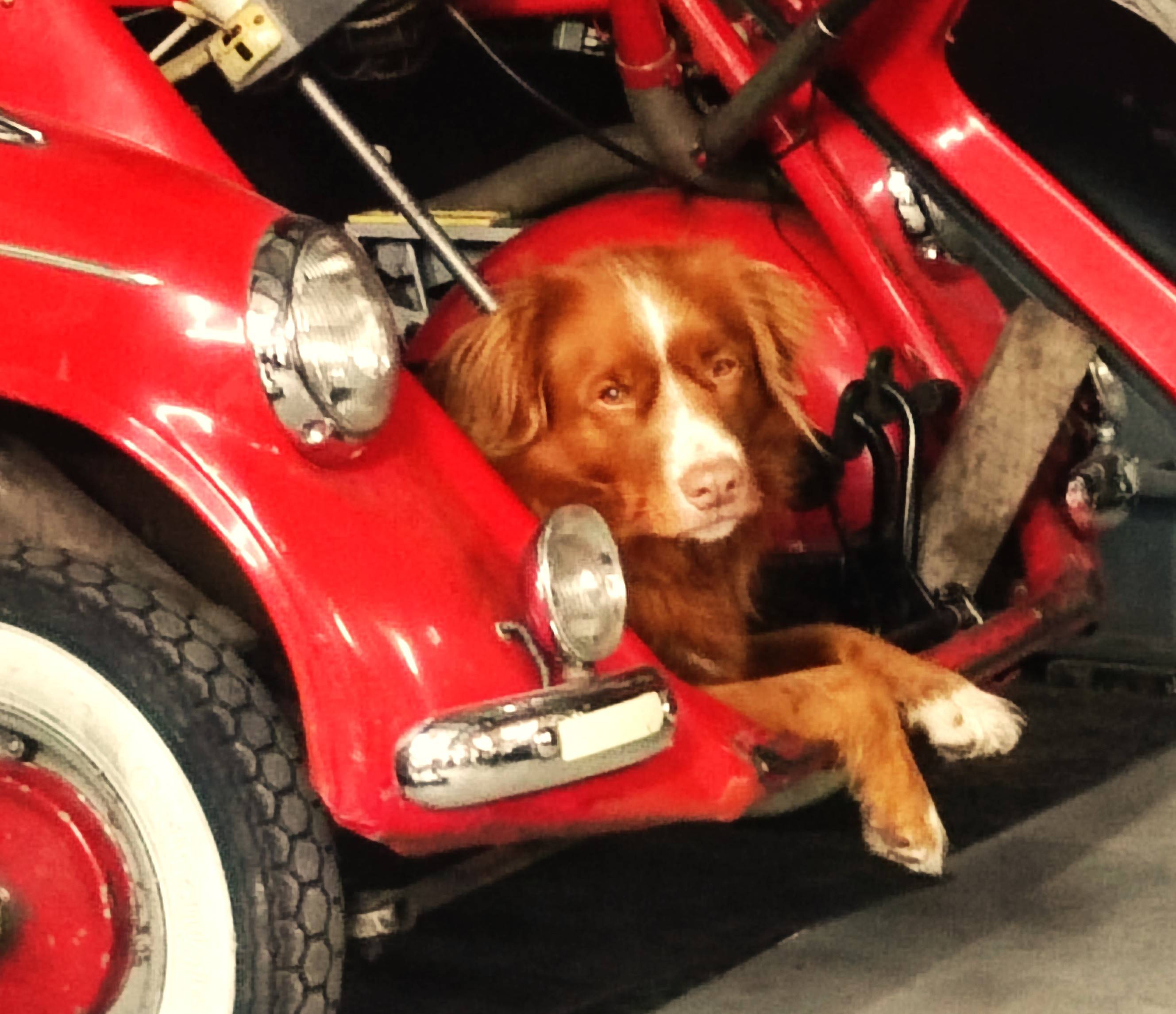KOOP MIJ en KREIDLER ONDERDELEN. Click daarvoor op de blauwe button linksboven "Kies een categorie"