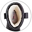 Sixton Montana S3 laars 81156-09 + Wol