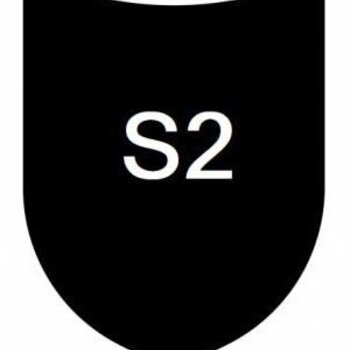 S2 Werkschoenen