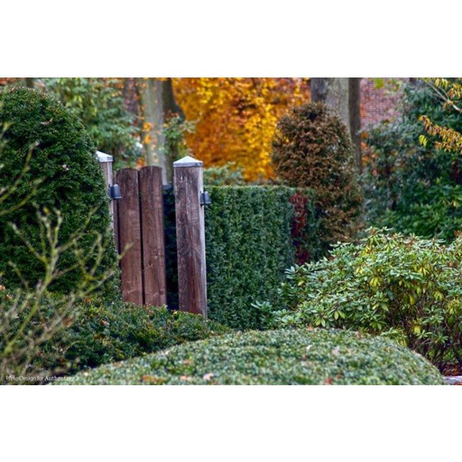 Borne bois jardin rustique teak bronze