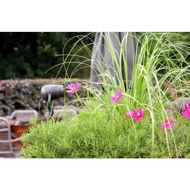 Spot de jardin rustique chic bronze, nickel, chrome