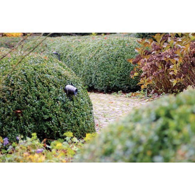 Spot de jardin rustique chic bronze, nickel, chrome