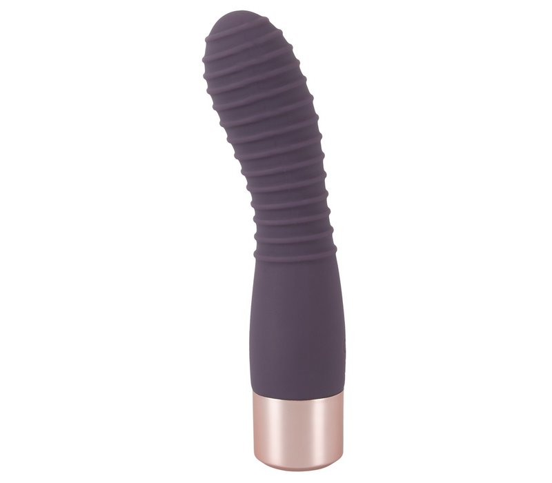 Elegant Flexy Vibe - flexibele vibrator met ribbels