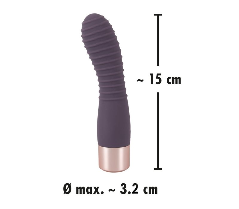 Elegant Flexy Vibe - flexibele vibrator met ribbels