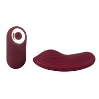 Panty clitoris vibrator met afstandsbediening - oplaadbaar