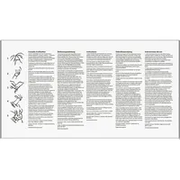 Sur Mesure (49mm) 100 condooms