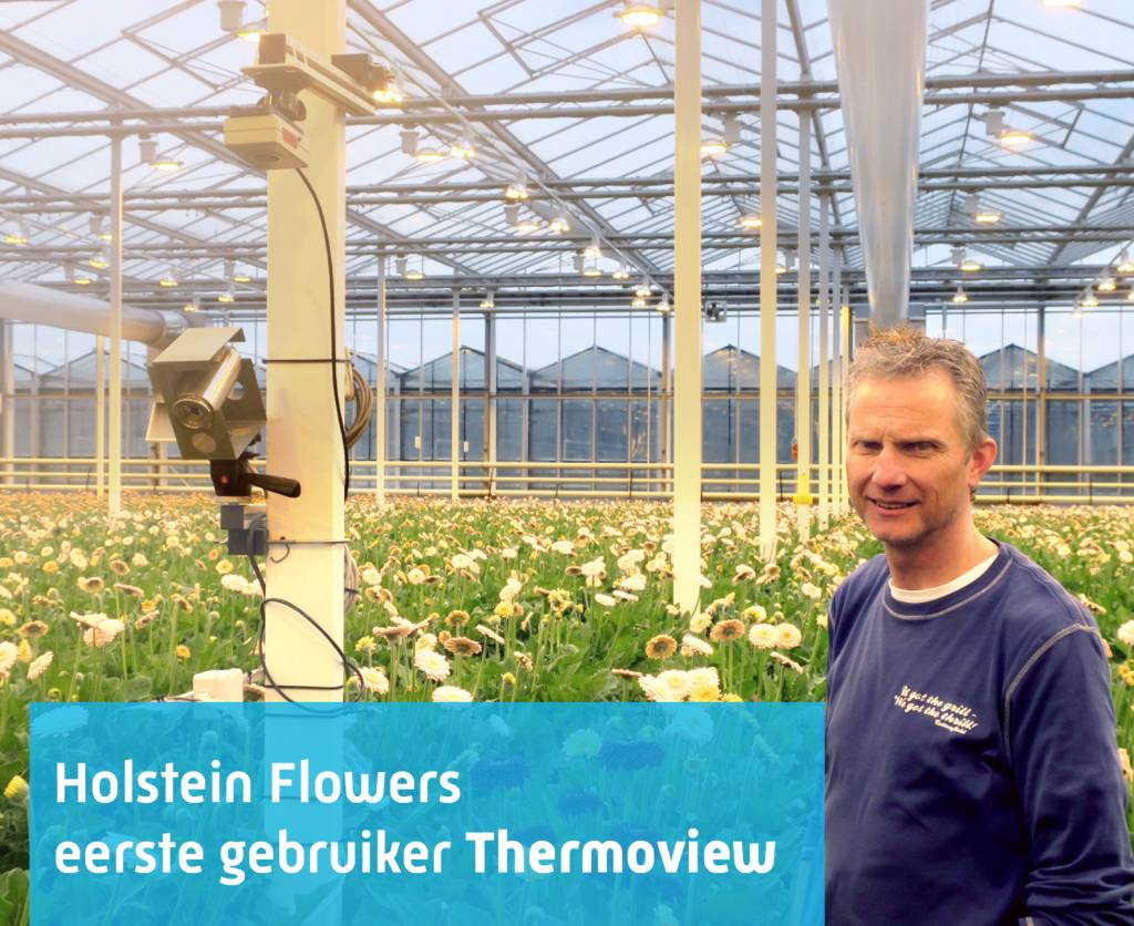 Holstein Flowers - eerste gebruiker Thermoview