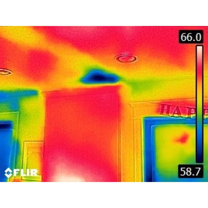 FLIR C2 pocket-size thermal camera