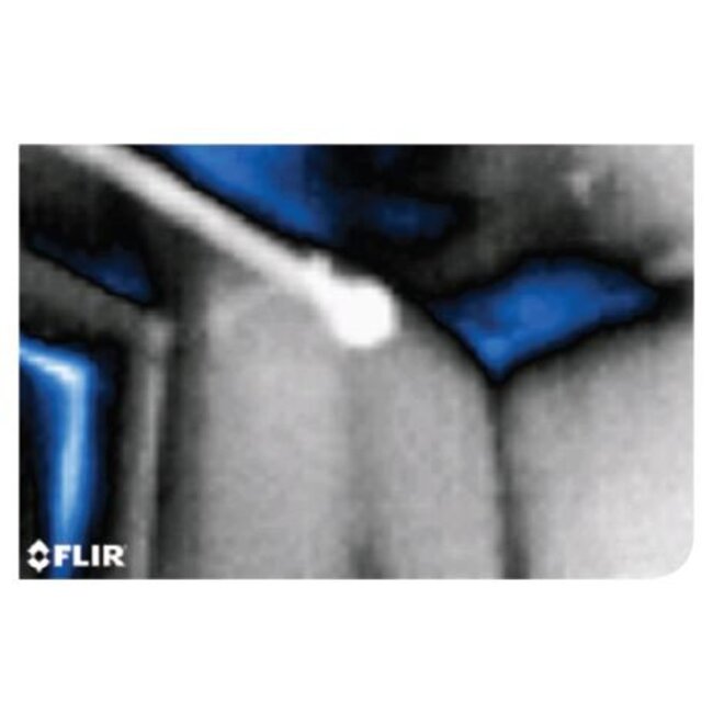 FLIR L'hygromètre infrarouge FLIR MR160