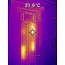 FLIR FLIR  TG165-X