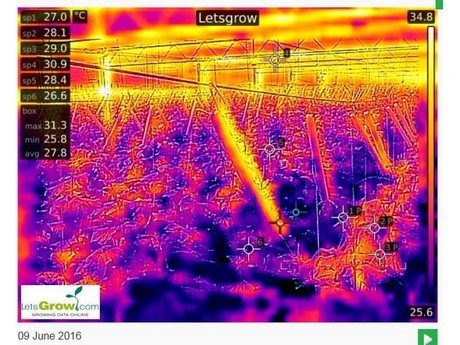 Thermoview 48 koppelt thermocamera aan klimaatcomputer glastuinbouw