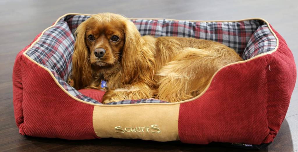 scruffs highland box bed