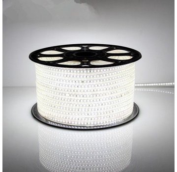 LED Lichtslang plat - 6000K - Lengte optioneel - Plug and Play