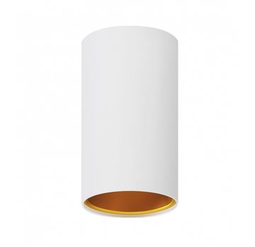 LED plafondspot Chloe - Mat wit goud - GU10 aansluiting