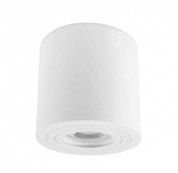 LED Plafondspot IP65 - Wit - Tube rond - met GU10 fitting - excl. LED spot
