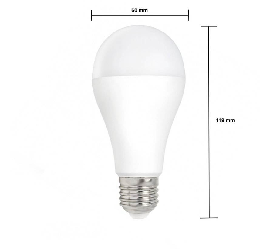 LED Lamp E27 fitting - A65 - 6000K daglicht wit - 20W vervangt 147W