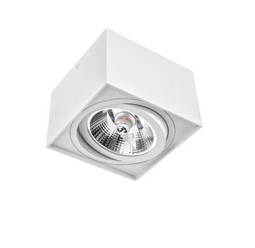 LED Plafondspot AR111 GU10 fitting - Mat wit