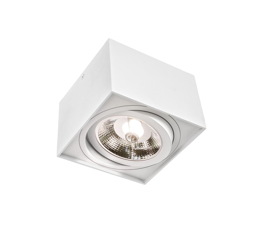 LED Plafondspot AR111 GU10 fitting - Mat wit