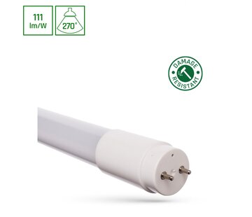 Spectrum Spectrum LED Buis T8 Standard Output 9W 1000lm - 860 Daglicht | 60cm - Vervangt 18W