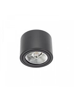 LED Plafondspot - Mat Zwart - Rond - AR111 / GU10 aansluiting - Kantelbaar - Excl. AR111 spot