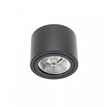 LED Plafondspot - Mat Zwart - Rond - AR111 / GU10 aansluiting - Kantelbaar - Excl. AR111 spot